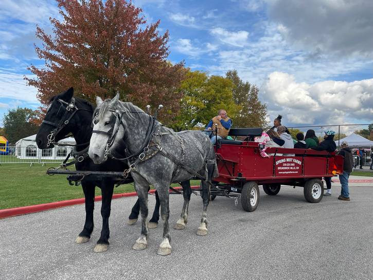 Spring Mist Farms offered wagon rides