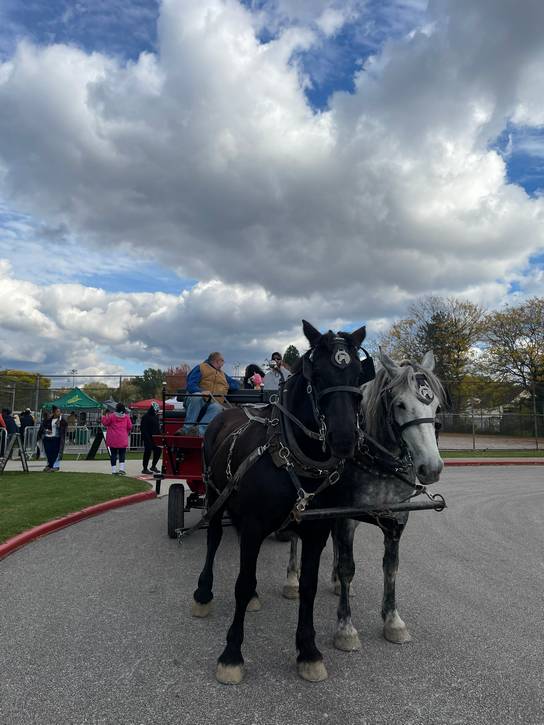 The Spring Mist Farms horses head out with a wagon in tow.