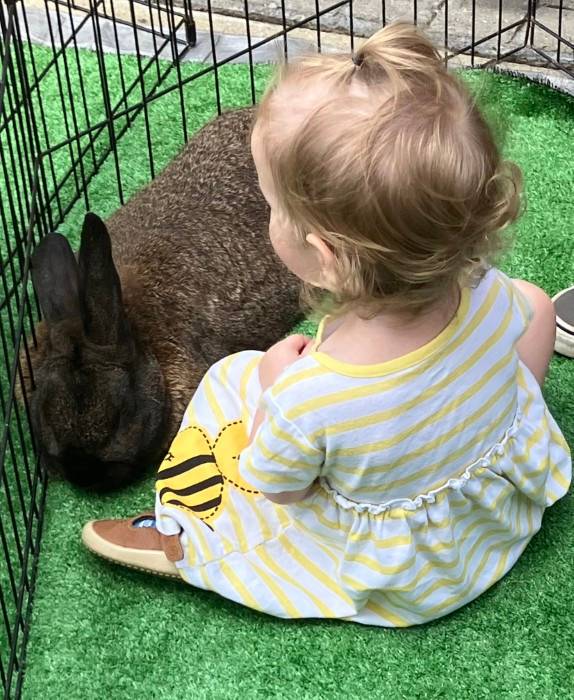 A youngster enjoys the Gage for Goat Petting Zoo at the Cleveland Heights Community Market..