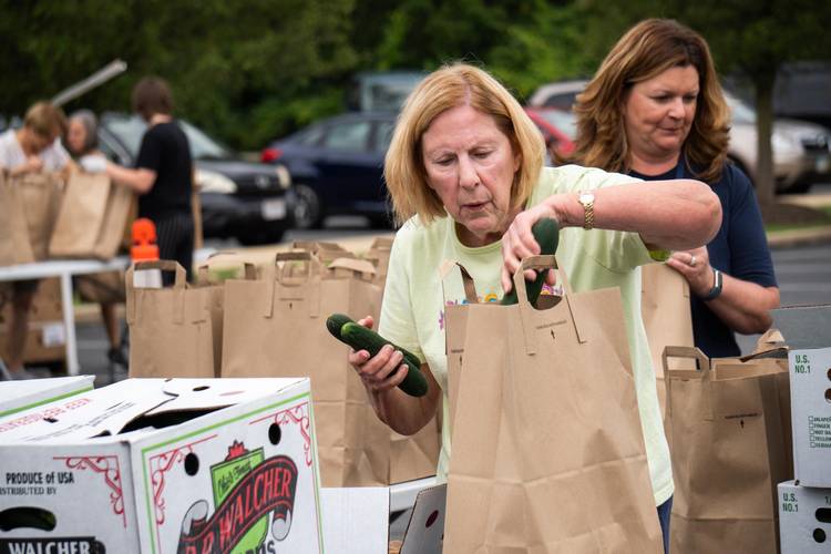 Volunteers load bags of groceries at a food distribution.
