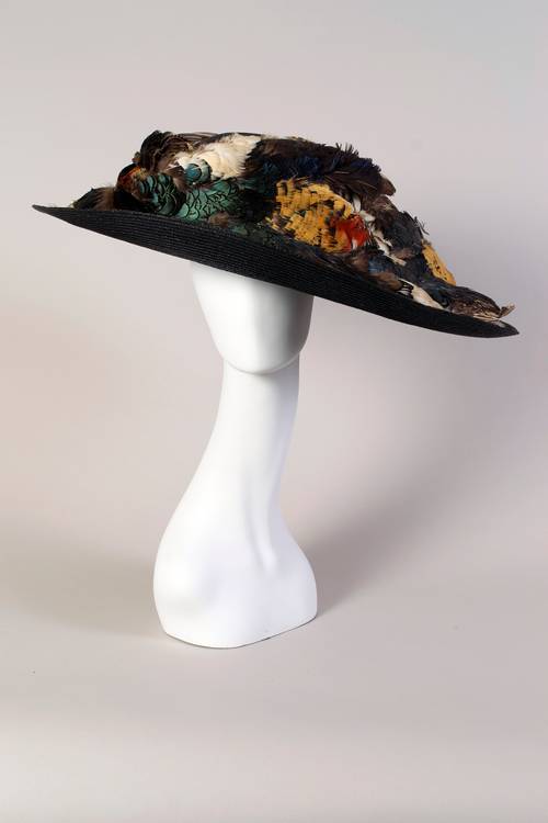 Wigs and hats play a big role in the avian biomimicry fashion project.