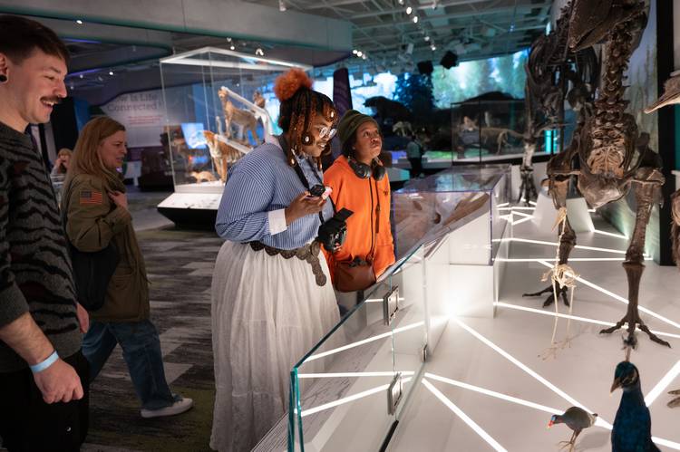 KSU School of Fashion students check out a CMNH display during the avian biomimicry project.