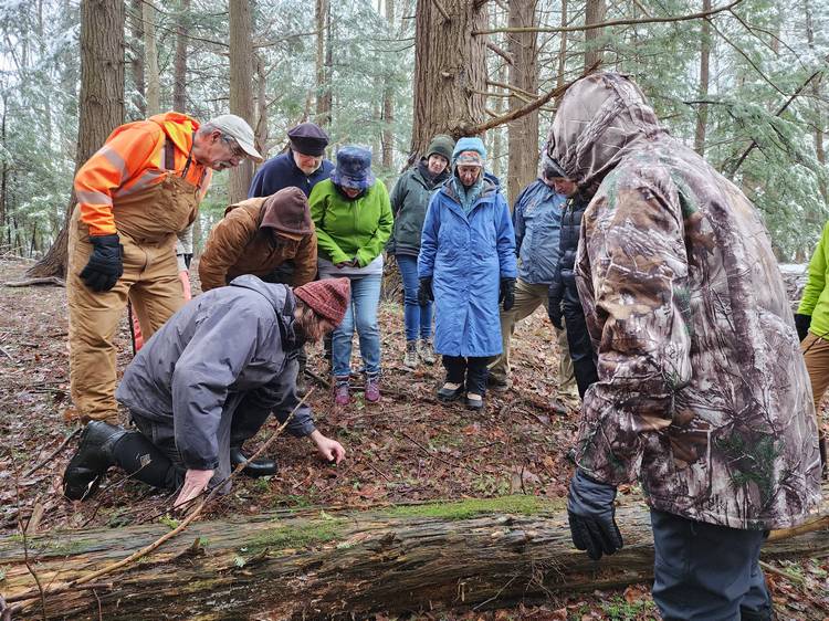 The CMNH iNaturalist team recently participated in the 2026 City Nature Challenge.