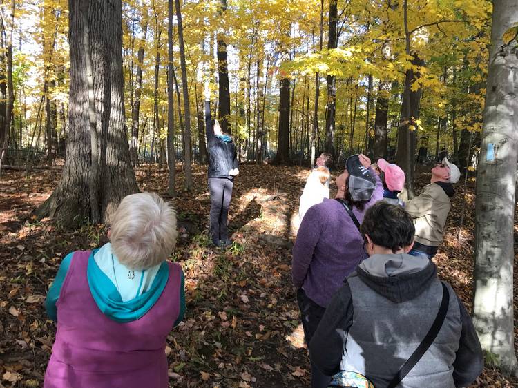 The CMNH iNaturalist team recently participated in the 2026 City Nature Challenge.