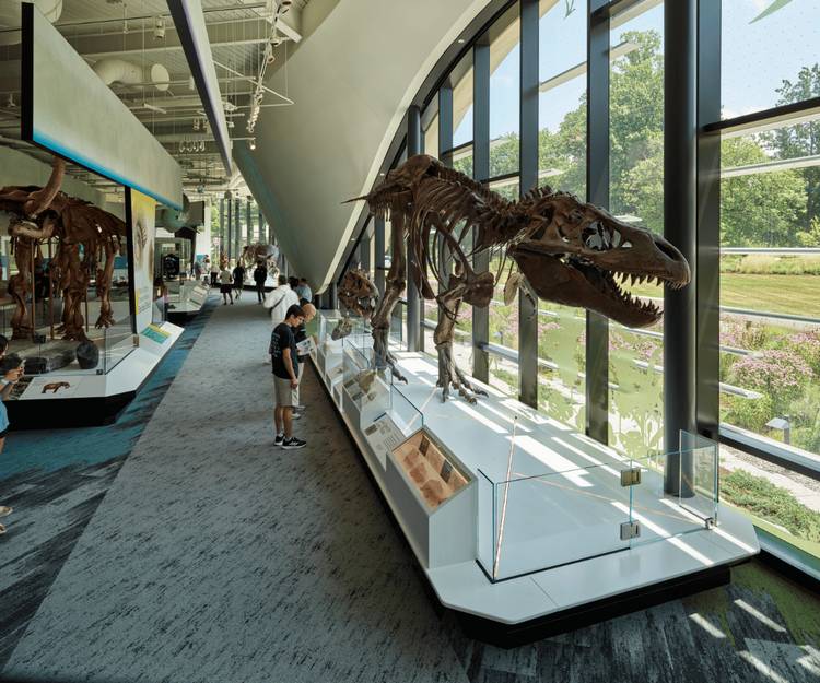 CMNH's Evolving Life wing.