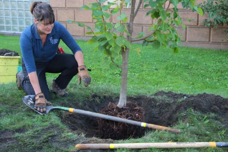 Fresh Water Institute fellows learned about the diminishing tree canopy and 'tree inequity.'