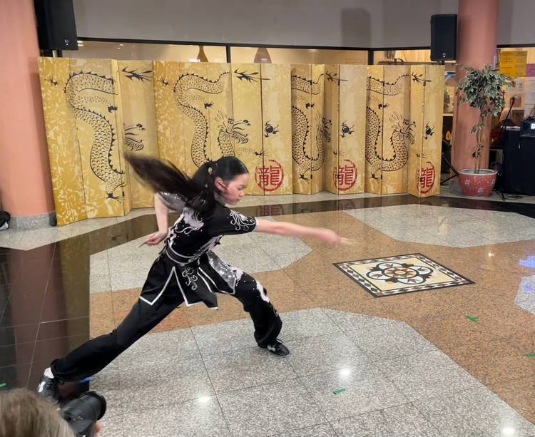 Students and masters from Great Wall Kung Fu Center demonstrate their skills.