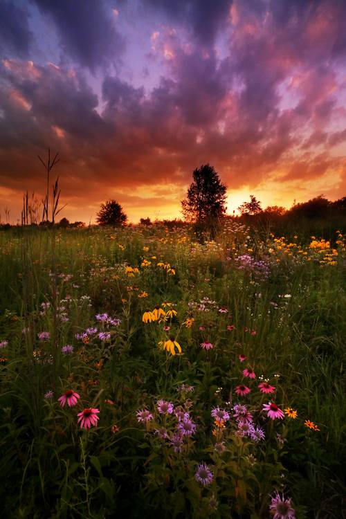 Sustainable Economies empowers organizations like Summit Metro Parks to create positive change.