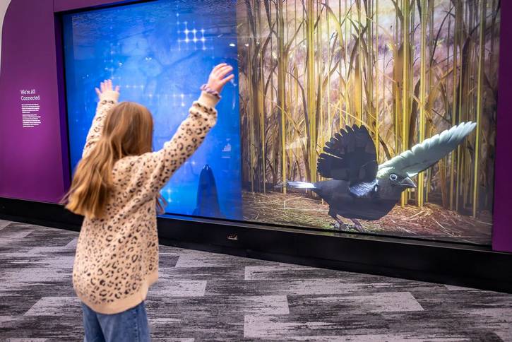 Enjoying the exhibits at CMNH.