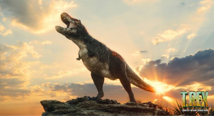 "T.Rex" 3D Movie at the Cleveland Museum of Natural History.