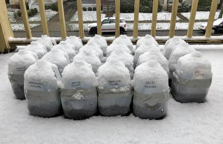 Winter seed starts in milk jugs can tolerate the snow.