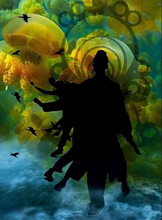 Homing Instinct: Letting Go of the Shore