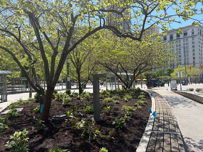 The renovated beds in the eastern part of Public Square