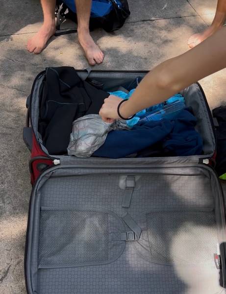 Inspecting the luggage.