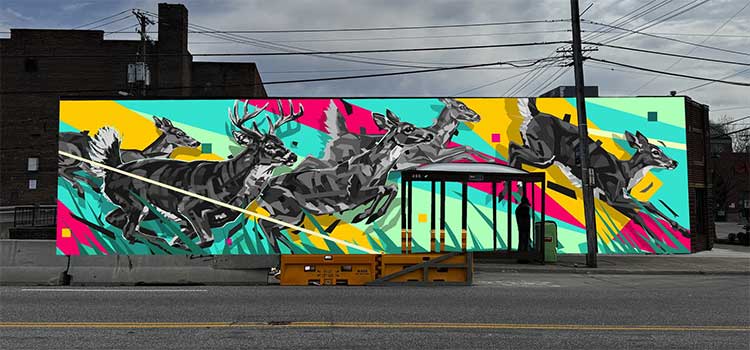 Muralist Arlin Graff's Deer mural rendering.