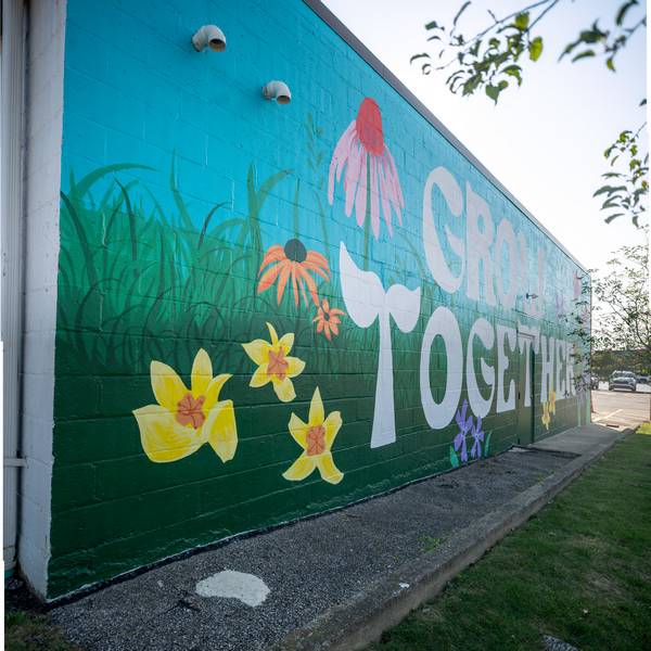 Olivia Oltmanns' 'Grow Together' on Messenger Court.