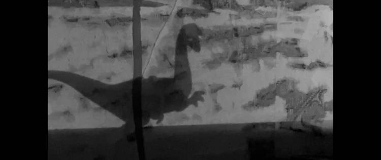 Spider House Still 4