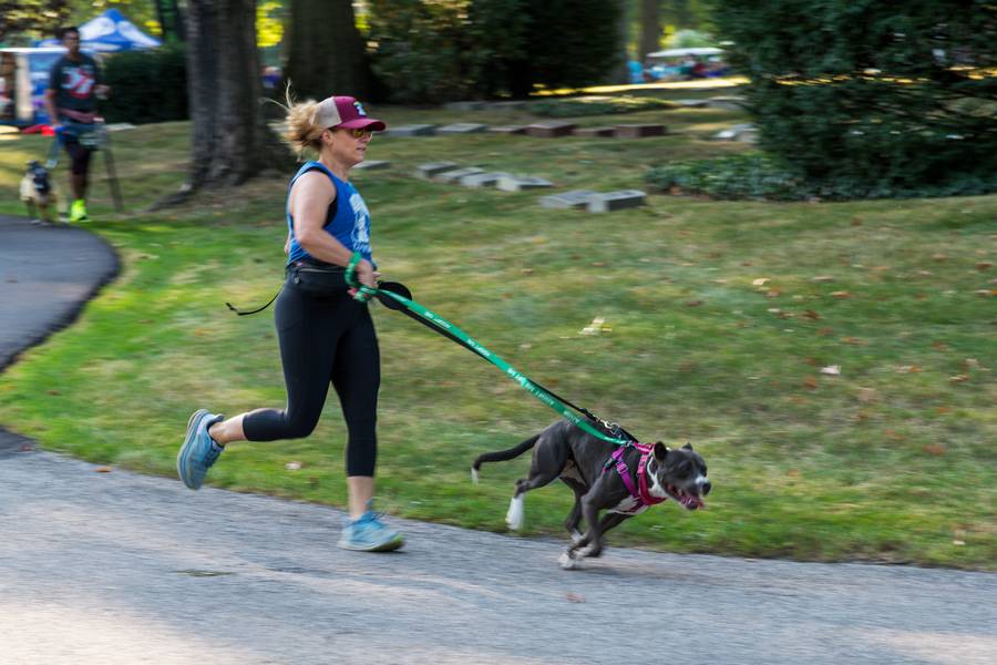Whether running in memory of a loved one or jogging with a furry friend, Run Through History is a great way to explore Lake View's 285 acres/