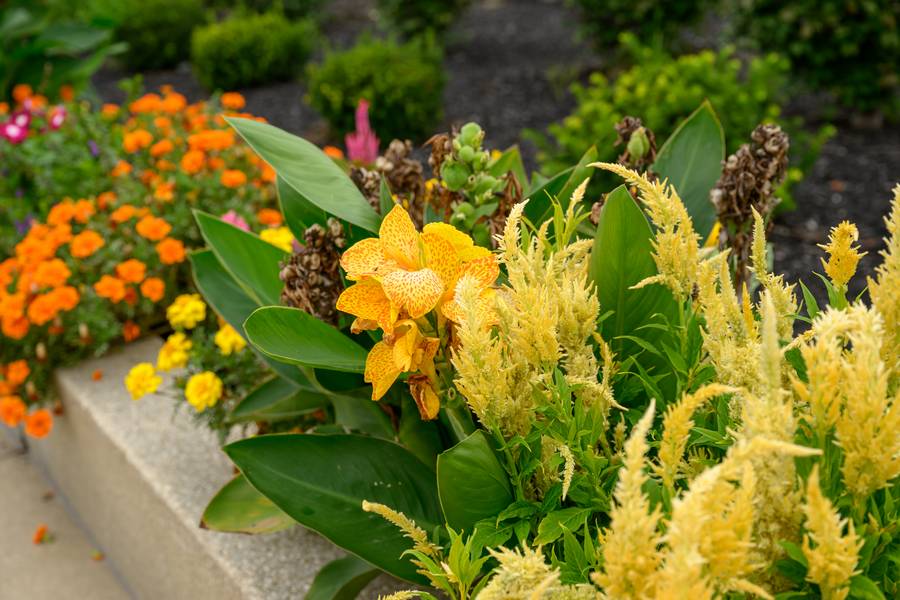 Decorative flora and fauna along the Mandel Community Trail.
