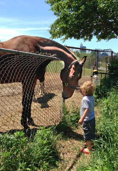 Mather Taseff pets a horse on a visit to the Cleveland Mounted Police station - photo Ashley Taseff