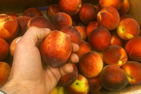 Blue Sky Green Fields