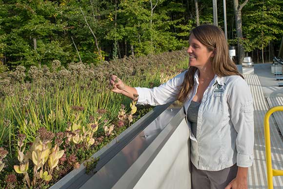 Jennifer Grieser, Metroparks' senior natural resources area manager for urban watersheds admiring the green roof
