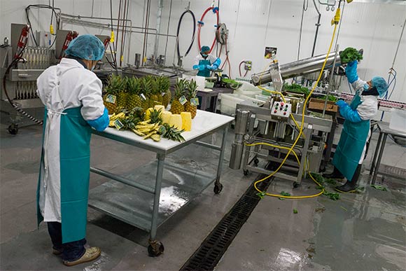 Garden of Flavor production facility