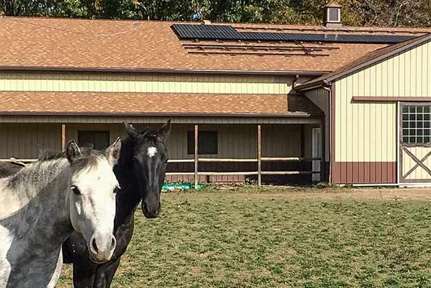 Lorain solar co-op member Peggy Ignaci adds solar power to her home's horse power