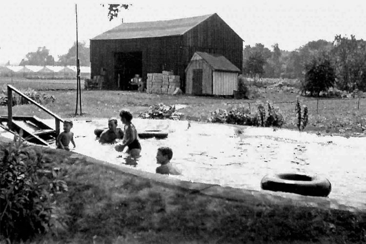 The pool at Lou Goodwin’s house
