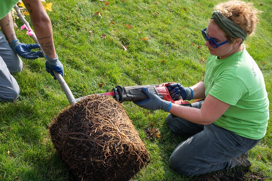 Holden’s Tree Corps CMHA tree planting on Cleveland’s east side at the Friendly Inn Settlement on Kinsman Rd.