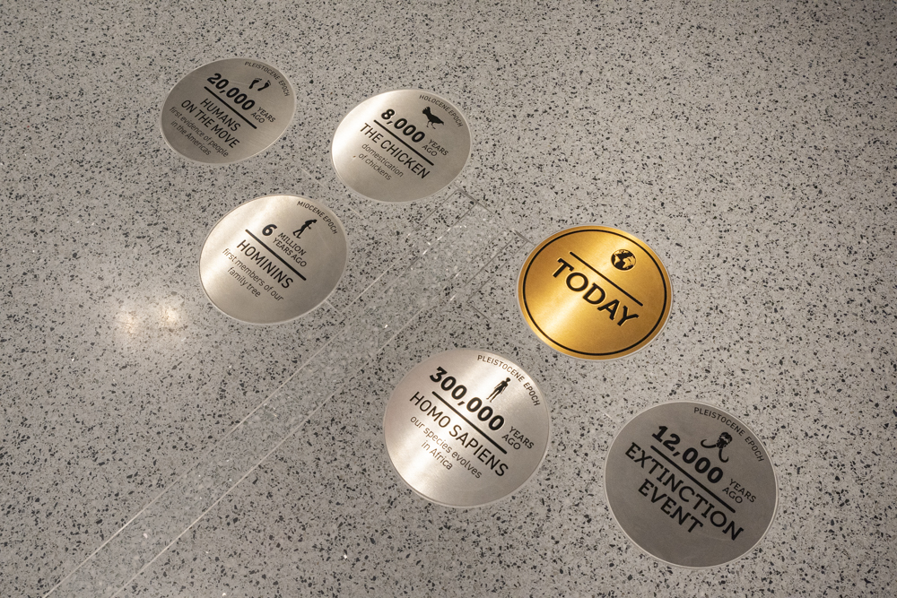 The history of the Universe timeline on the Visitor Hall floor where one-inch equals 1 million years and the last few inches represents humans time on earth