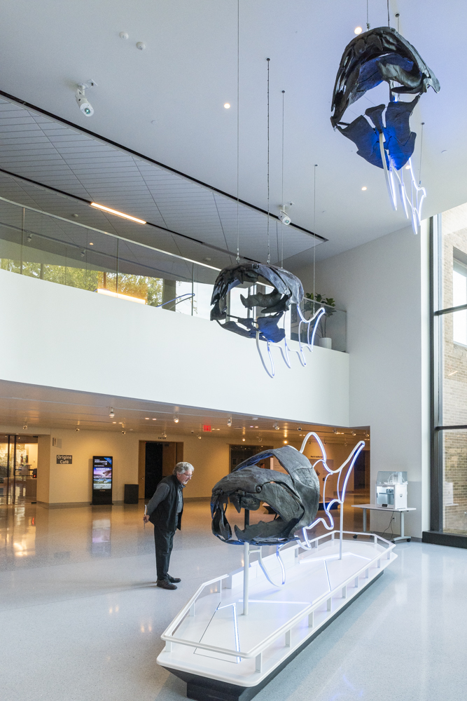 Dunk, the giant armored fish Dunkleosteus terrelli