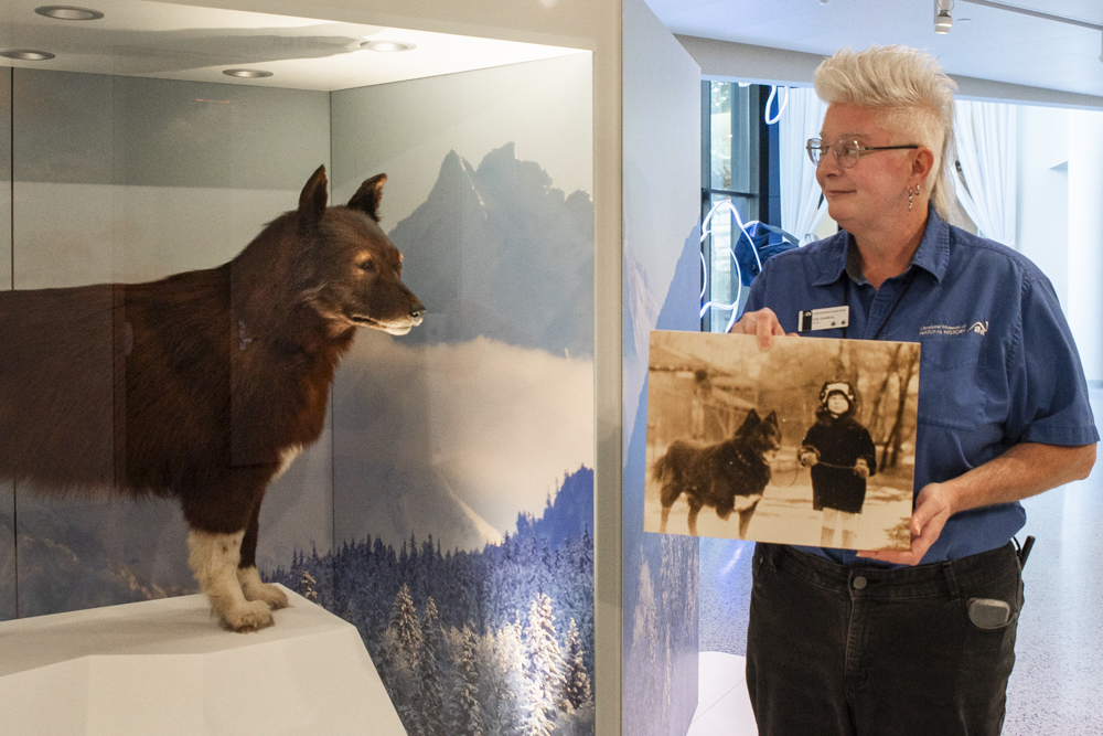 Lee Gambol, Educator