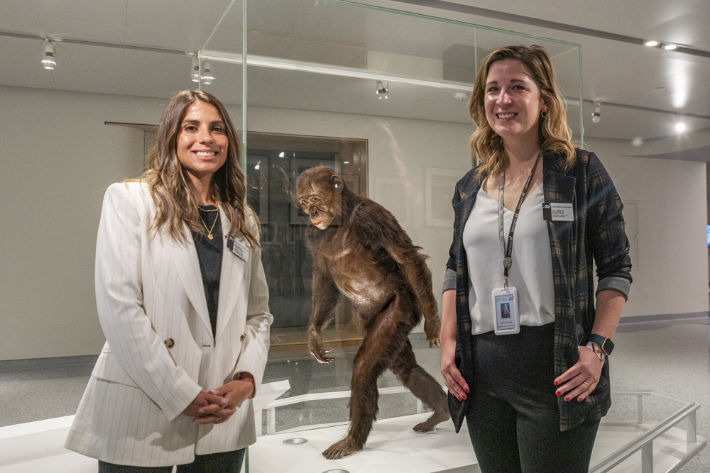 Dr Emma Finestone, Assistant Curator of Human Orgins and Dr. Ebeth Sawchuk, Assistant curator of Human Evolution pose with the Lucy Display