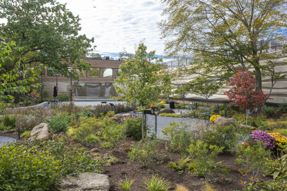 Thelma and Kent H. Smith Environmental Courtyard