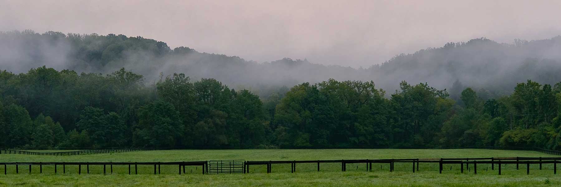 Morning in the Valley
