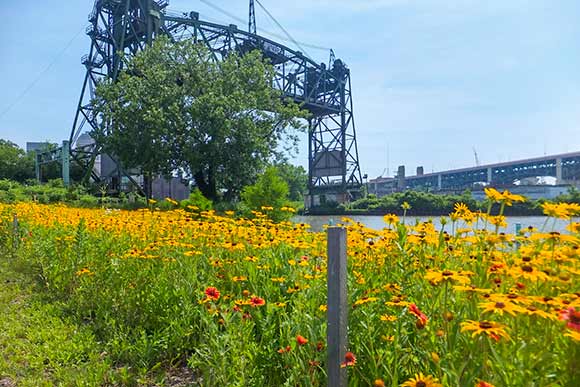The Eagle Street Bridge, Scranton Flats