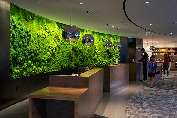 Hilton Cleveland Downtown lobby moss wall