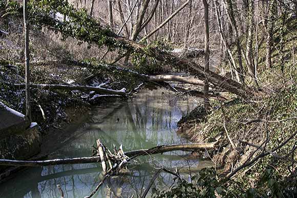 Dugway Brook, East Branch