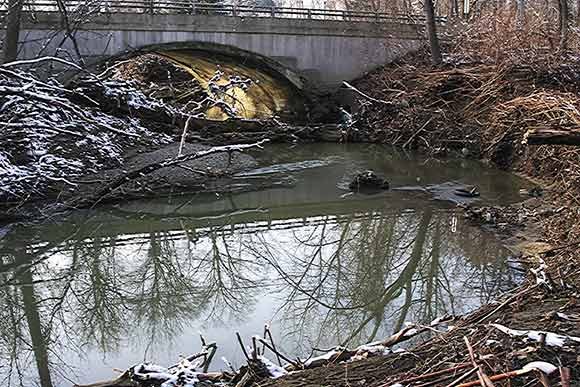 Nine Mile Creek passing under Lake Shore Blvd