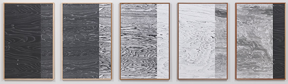 <span class="content-image-text">Lisa Oppenheim, Landscape Portraits (Some North American Trees), 2014</span>