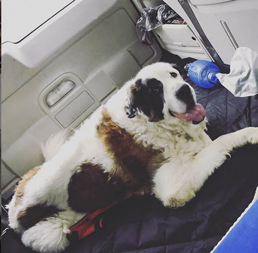 Squad Fiftyone patients