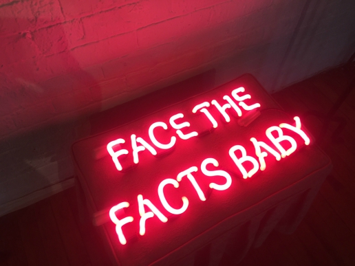 Liz Maugens' Fractured Atlas and funky neon Facts of Life accented