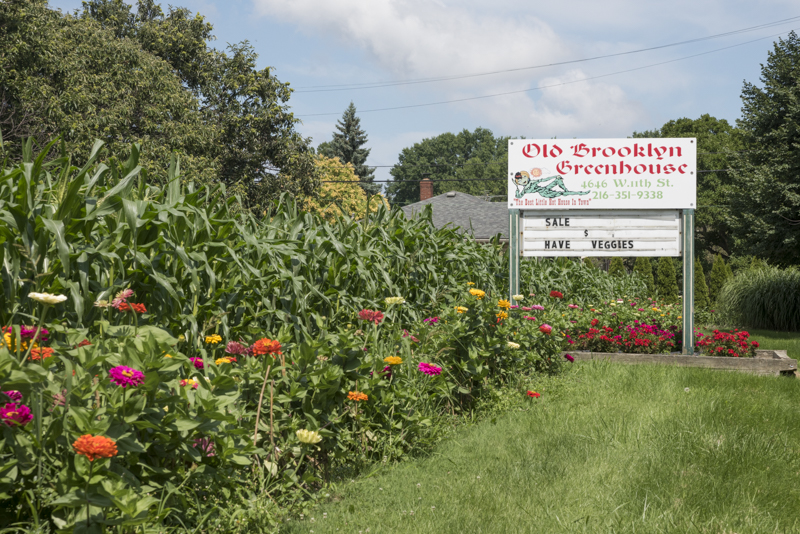 Old Brooklyn Greenhouse